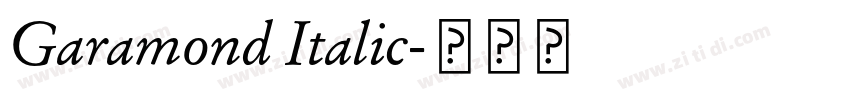 Garamond Italic字体转换